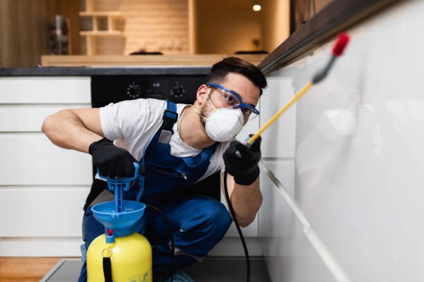 مكافحة الحشرات